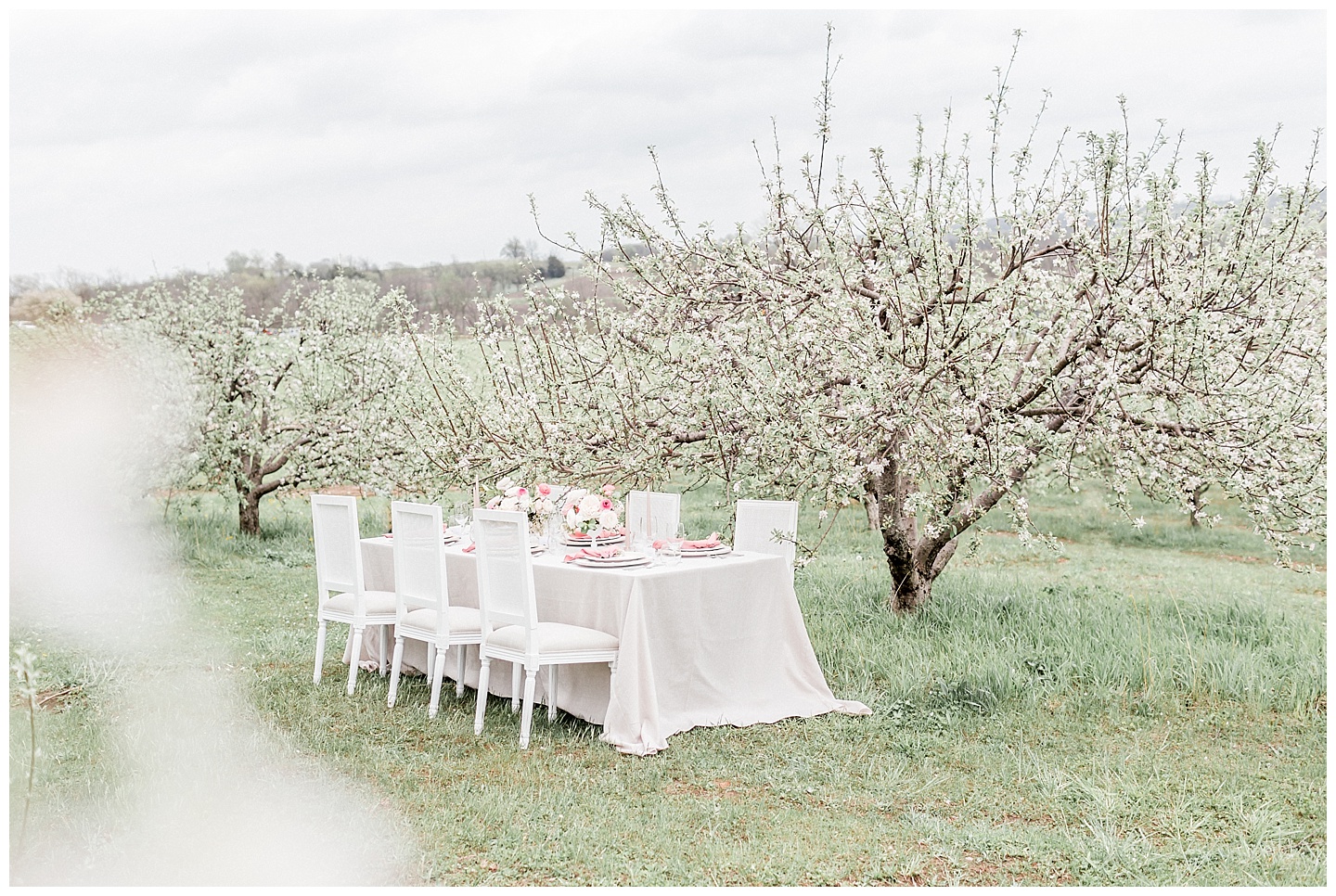 Apple-Blossoms-Springtime-Wedding-Inspiration-Weston-Red-Barn-2018-nellie sparkman events blue bouquet elizabeth ladean photography_0058.jpg