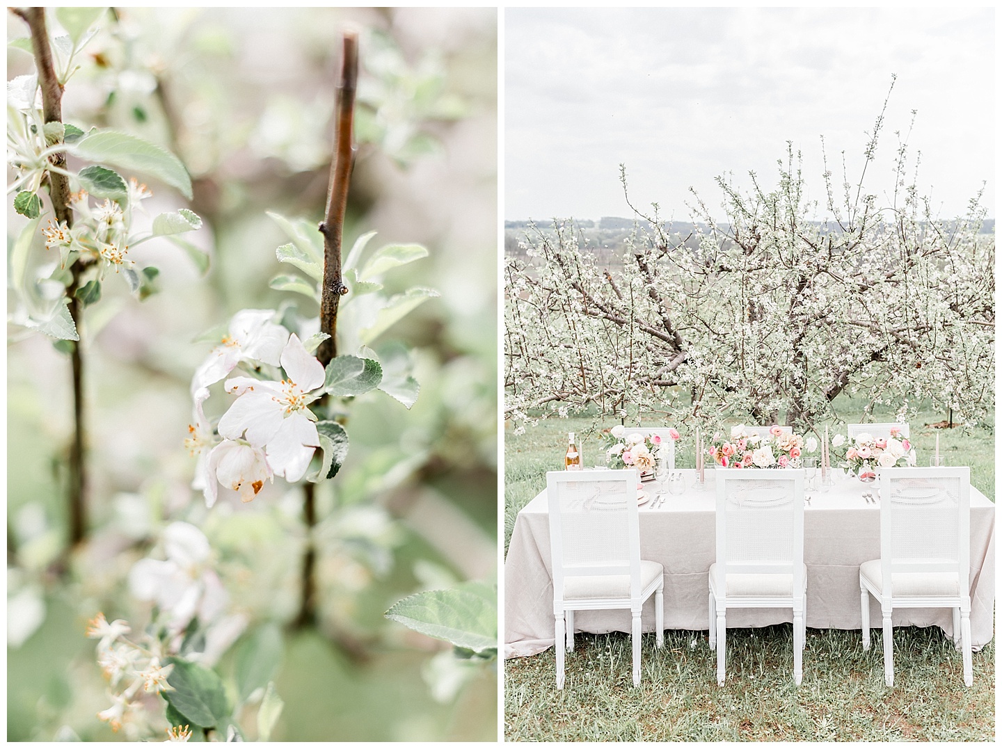 Apple-Blossoms-Springtime-Wedding-Inspiration-Weston-Red-Barn-2018-nellie sparkman events blue bouquet elizabeth ladean photography_0059.jpg