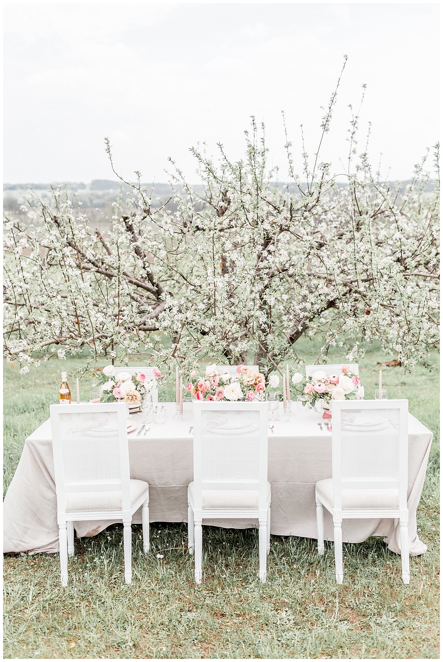 Apple-Blossoms-Springtime-Wedding-Inspiration-Weston-Red-Barn-2018-nellie sparkman events blue bouquet elizabeth ladean photography_0068.jpg